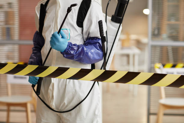 Professional Sewage Cleanup technician working in Boelus, NE